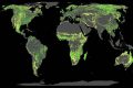 Le rythme d’absorption de dioxyde de carbone (CO2) par les forêts tropicales en Amazonie en et Afrique, diminue respectivement depuis 1990 et 2020. © D.R.