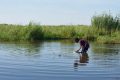 Selon l’Ageos, le lac Tchad s’assèche de façon criarde. © D.R.