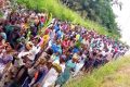 Les populations de Mekambo ont manifesté, le 17 avril 2021, contre les ravages des éléphants dans leurs plantaions. © Facebook