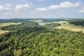 Les forêts au coeur du Plan d’accélération de la transformation (PAT)