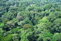 Le forestLAB vient de poser ses valises au parc national de Loango, dans le sud du Gabon. © D.R.