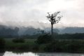 Vue d'une infime partie du parc national de Loango. © Pinterest/Lynn