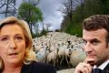 Les Français n’ont pas jugé utile d’évaluer Emmanuel Macron à l’aune de son bilan. Ils n’ont pas non plus pris la peine de se pencher sur les retombées des propositions de Marine Le Pen. Dans un cas comme dans l’autre, ils se sont laissé guider par les sondages, abdiquant leur libre-arbitre. © Montage Gabonreview