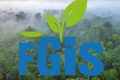 Le FGIS, désigné mandataire exclusif chargé de la commercialisation du crédits carbone du Gabon. © Gabonreview