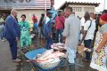 Pascal Houangni Ambouroue au Centre d'appui à la pêche artisanale de Port-Gentil, le 21 juin 2023. © Com. gouvernementale