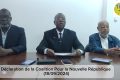 « Si le projet de loi portant constitution de la République Gabonaise est adopté en l'état, l'élite gabonaise n'aura pas tiré les leçons du passé de son pays et aura délibérément décidé que le Gabon notre pays rame à contrecourant de l'histoire », dixit la CNR. © GabonReview (capture d’écran)