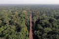 Séminaire régional de la Francophonie sur le soutien aux initiatives environnementales dans le Bassin du Congo annoncé le 18 septembre 2024. © D.R.