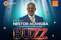 L’affiche de «Buzz» mettant en avant l’acteur gabonais, Serge Abessolo. © Facebook/sergeabessoloofficiel