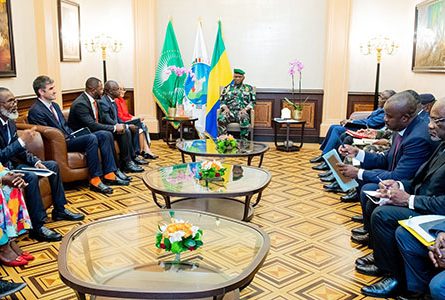 Brice Clotaire Oligui Nguema échangeant avec la délégation de l’ONEP et de l’UPGA, le 28 octobre 2024. © Com. présidentielle