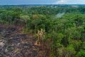 Le bassin du Congo, deuxième poumon de la planète, est en péril. © D.R.