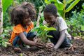 Le concours «Mon potager bio écolier» permettra de challenger, en conditions professionnelles, la jeune génération qui se destine à devenir actrice du monde agricole du pays. © Freepik