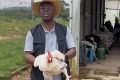 Le premier ministre, Raymond Ndong Sima, dans la ferme de Ntoum. © D.R.