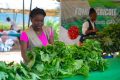 La septième édition de la Foire agricole de Libreville s’est achevée le 2 mars 2025, après trois jours d’échanges fructueux entre agriculteurs, éleveurs, pêcheurs et investisseurs au Jardin Botanique. © D.R.